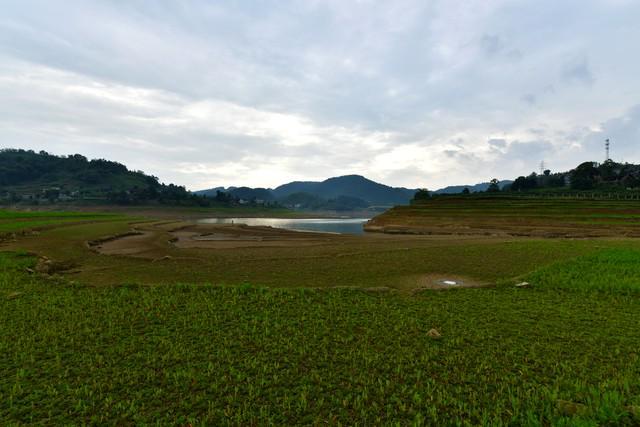 棉；芒种在尾热死老牛”今年哪？冰球突破平台“芒种在头六月穿(图4)